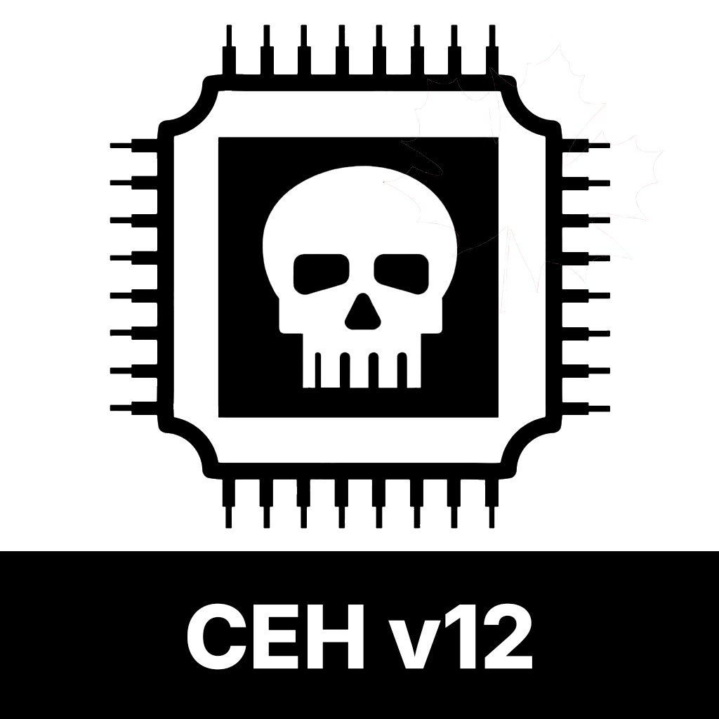 CEH Practice Test Icon